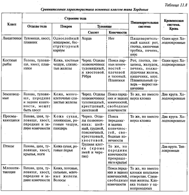 Филогенез кожных покровов