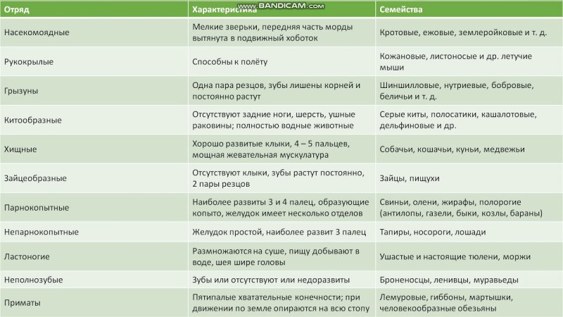 Отряды млекопитающих таблица 7 класс биология