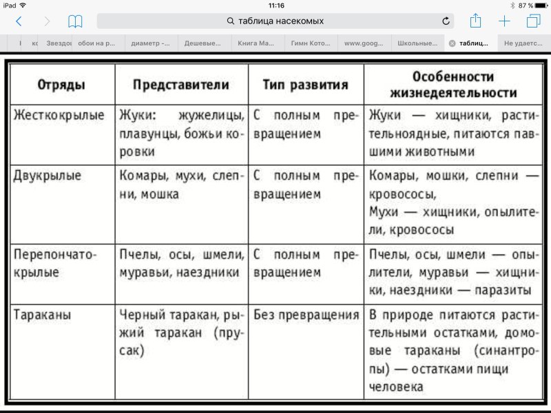 Биология 7 кл таблица отряды насекомых