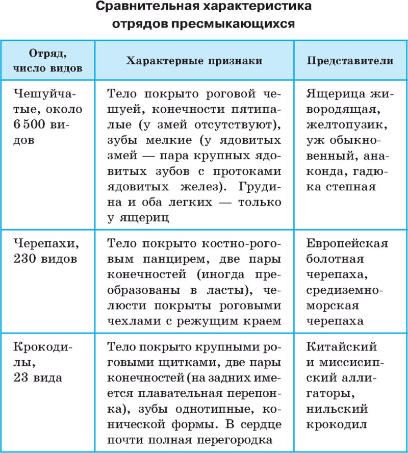 Отряды пресмыкающихся таблица