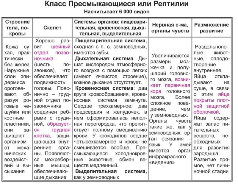Биологии 7 класс пресмыкающиеся общая характеристика таблица