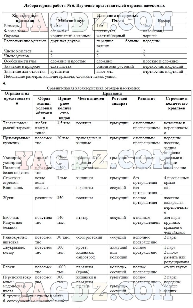 Характеристика отрядов насекомых таблица 7 класс биология