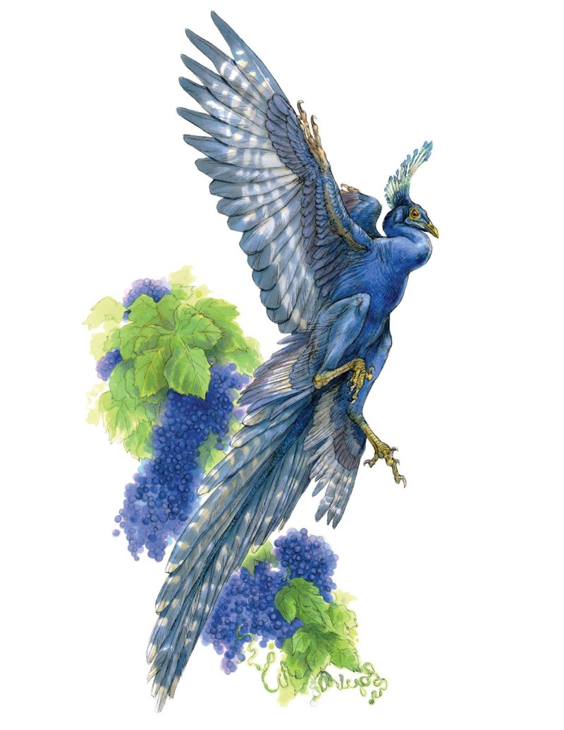 Jeholornis семья птиц