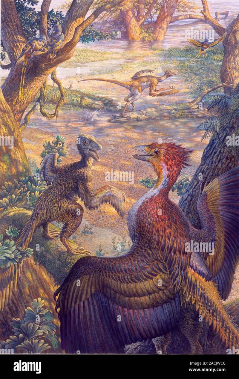 Джехолорнис в Feather Family