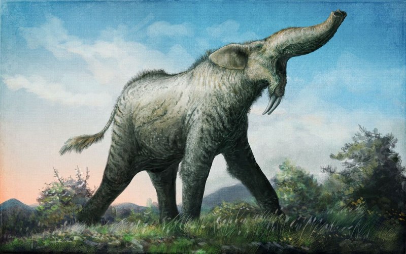 Deinotherium giganteum