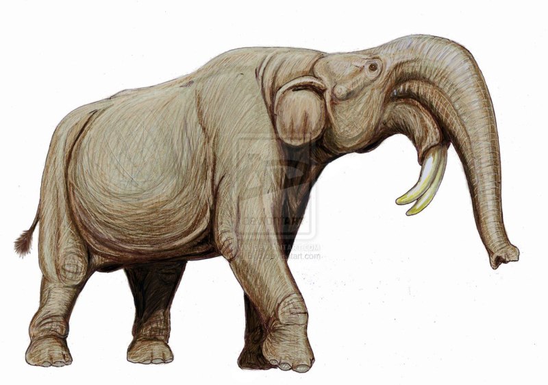 Deinotherium giganteum