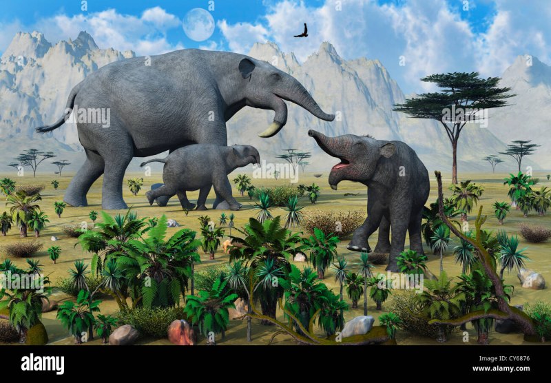 Dinoterium gigantissimus