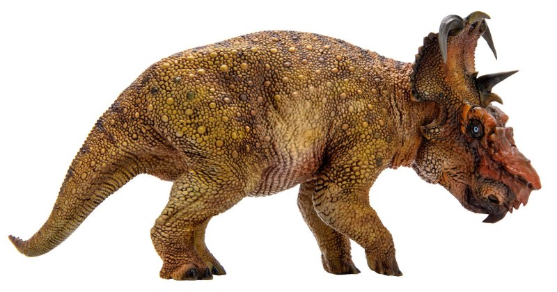 PNSO Pachyrhinosaurus