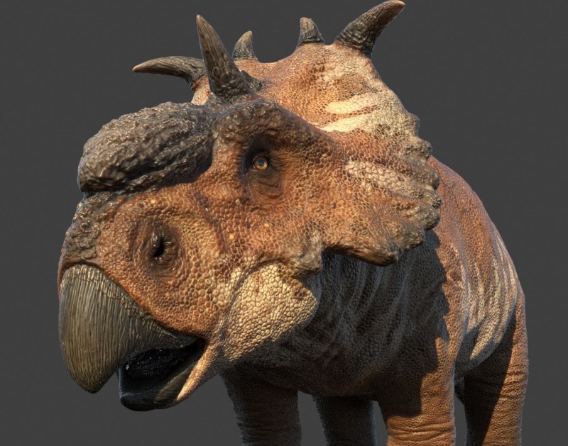 Pachyrhinosaurus canadensis