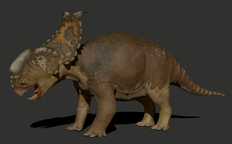 Pachyrhinosaurus canadensis