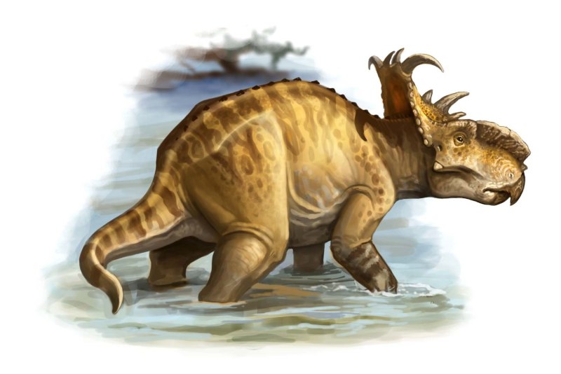 Pachyrhinosaurus lakustai