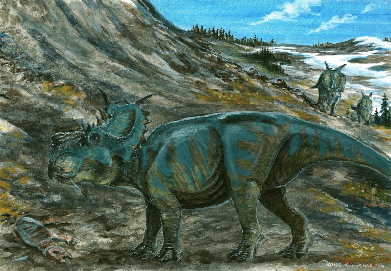 Pachyrhinosaurus lakustai