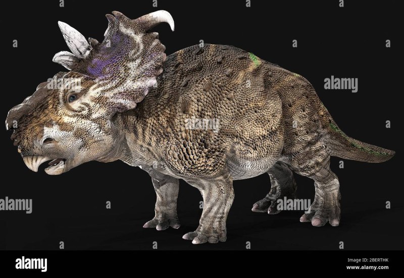 Pachyrhinosaurus Ark