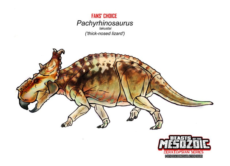 Steamblust PACHYRINOSAURUS