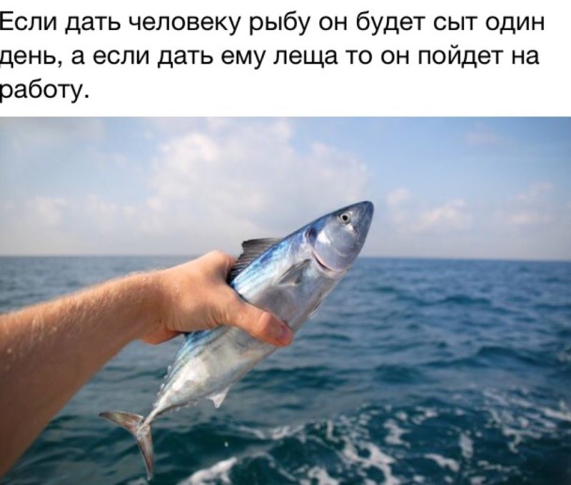 Пеламида рыба Черноморская
