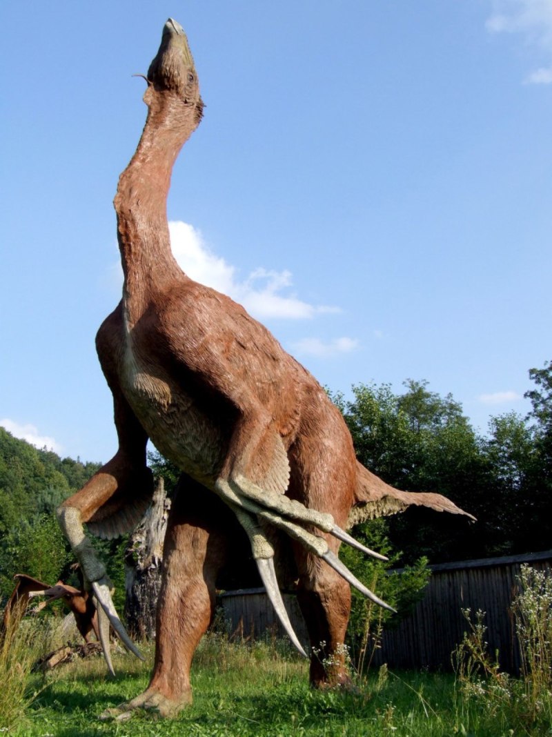 Therizinosaurus cheloniformis
