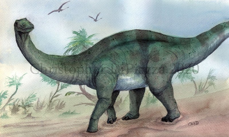 100 Prehistoric Beasts 1 of 4