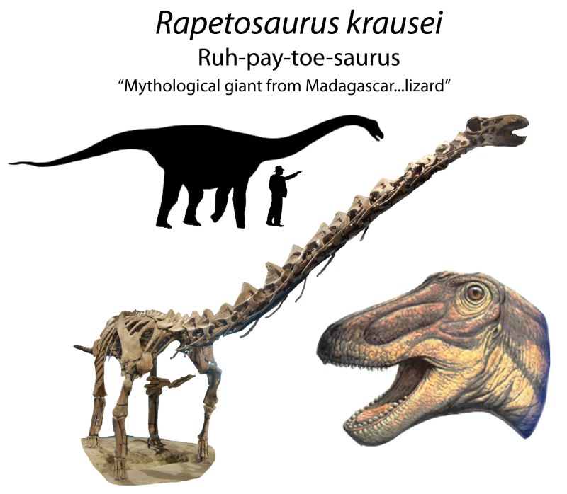 Tengrisaurus Starkovi