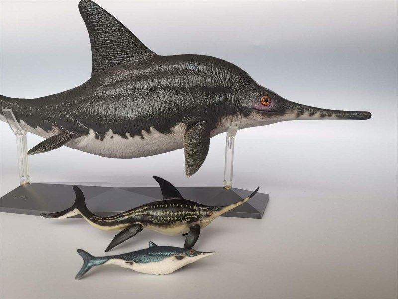 Ophthalmosaurus PNSO