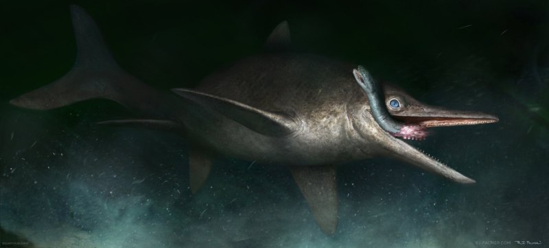 Temnodontosaurus platydon