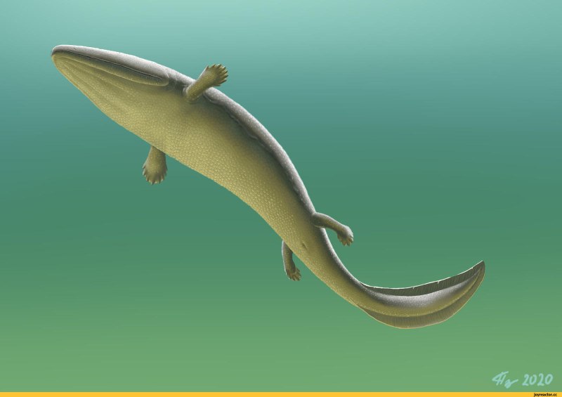 Holoptychius рыба