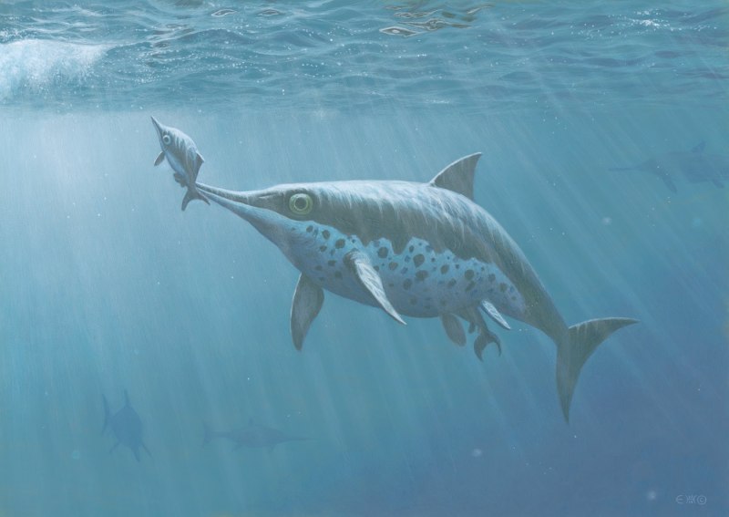 Морские ихтиозавры