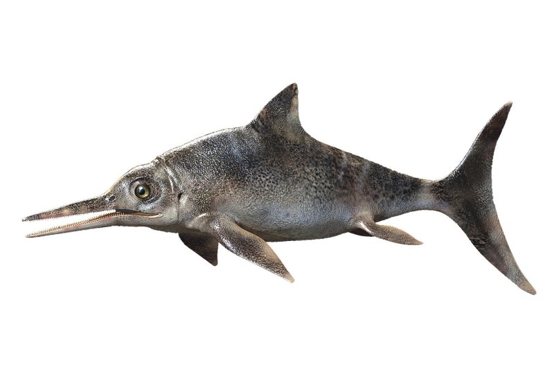 Ихтиозавр Leninia Stellans
