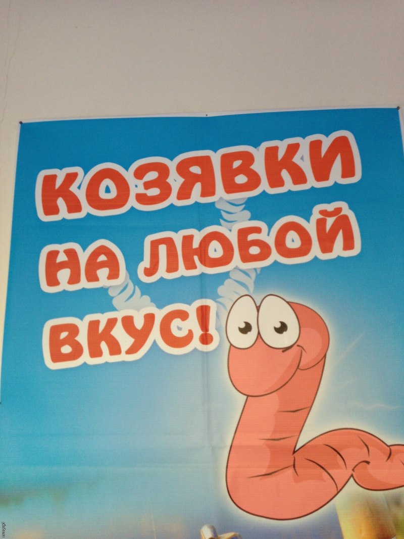 Козявка