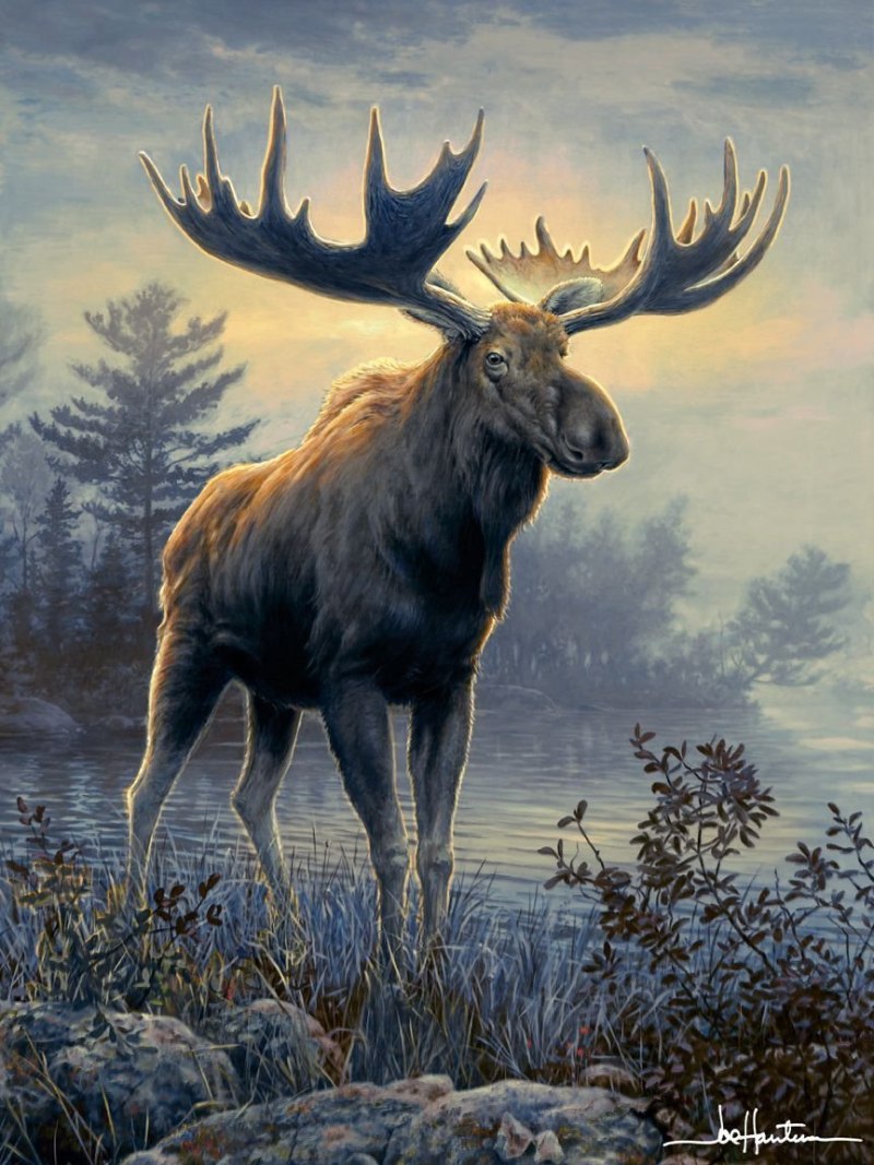 Robert Bateman Лось