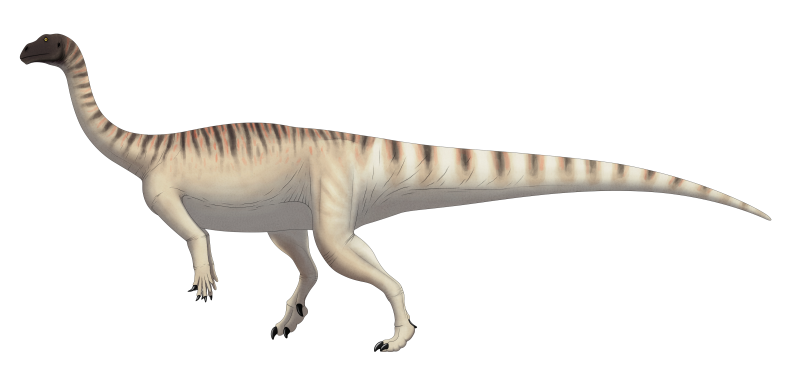 Mussaurus динозавр