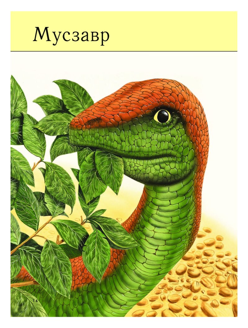 Mussaurus динозавр