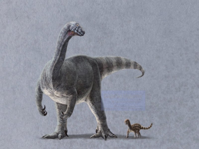 Utahraptor Gabriel Ugueto