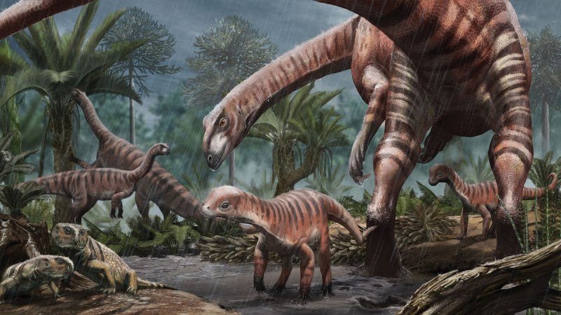 Mussaurus динозавр