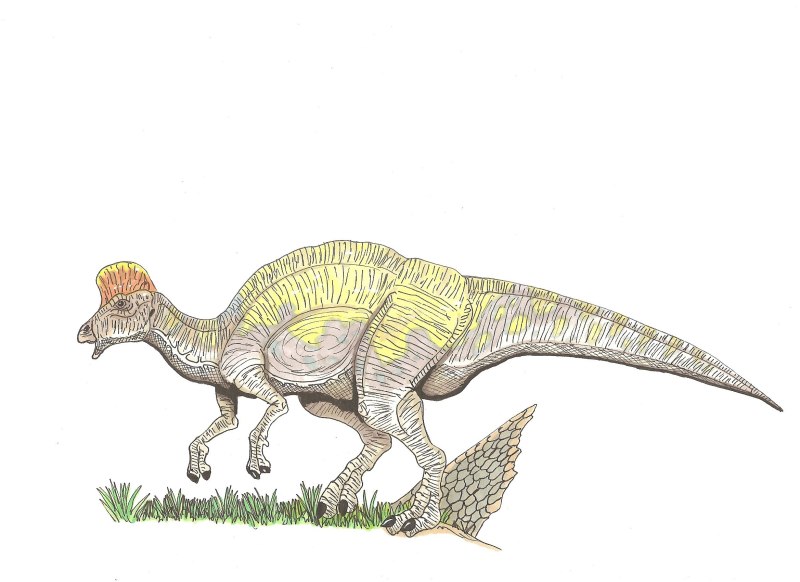 Corythosaurus динозавр