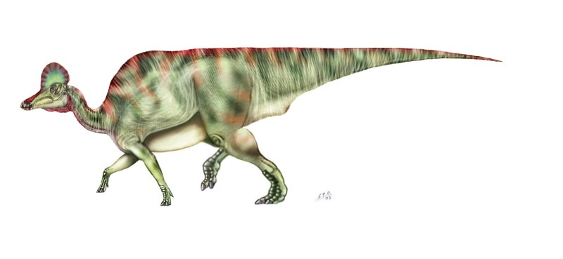 Corythosaurus динозавр