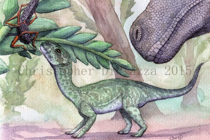 Mussaurus patagonicus