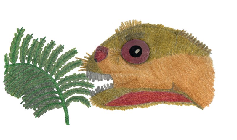 Mussaurus patagonicus