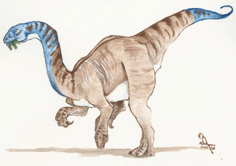 Гипархозавров (Hypacrosaurus stebingeri).