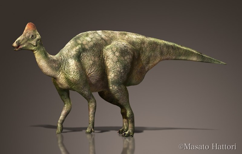 Sauroniops pachytholus