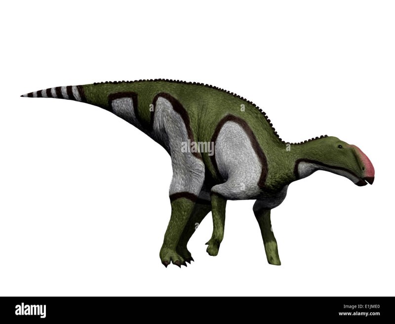 Gryposaurus Leg