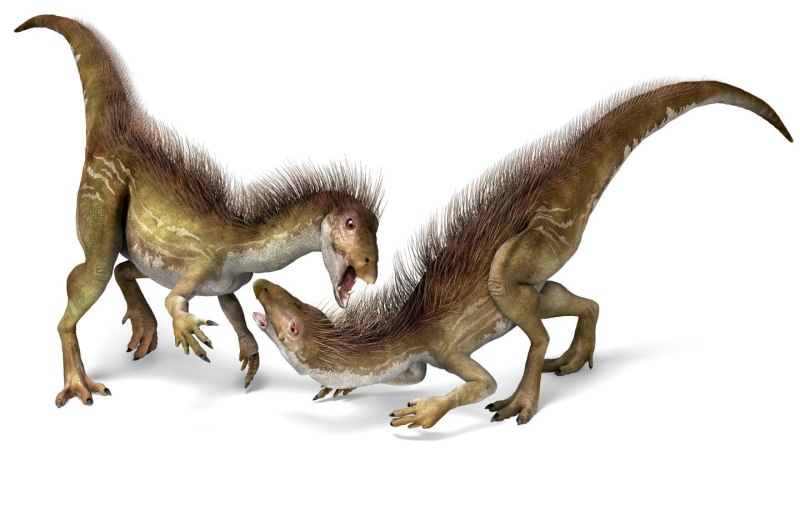 Абриктозавр Abrictosaurus