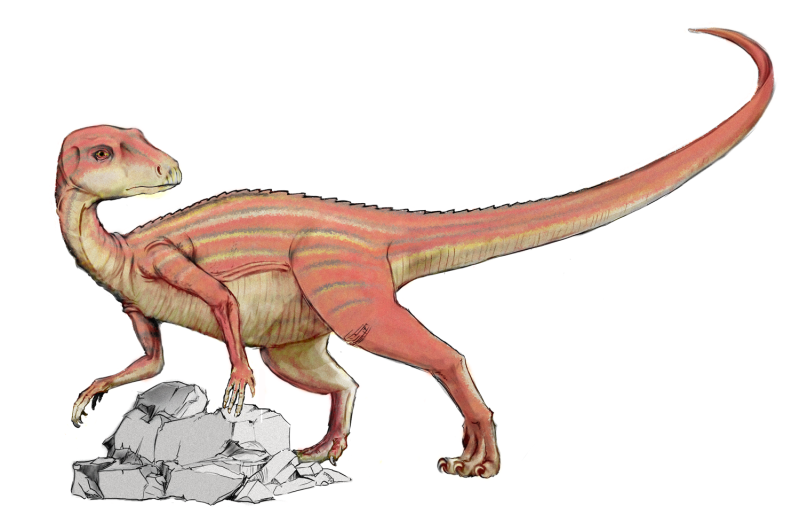 Абриктозавр Abrictosaurus