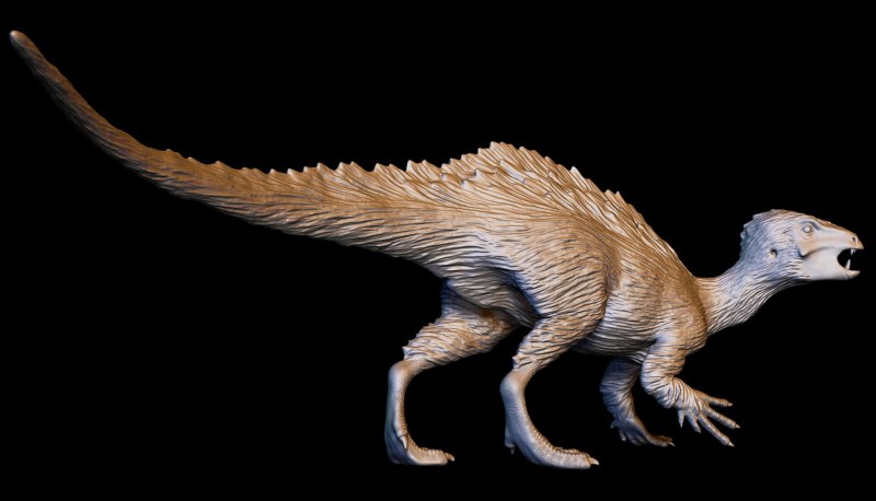 Heterodontosaurus Tucki