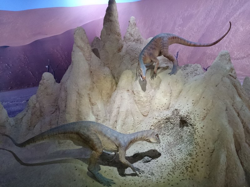 Heterodontosaurus Tucki