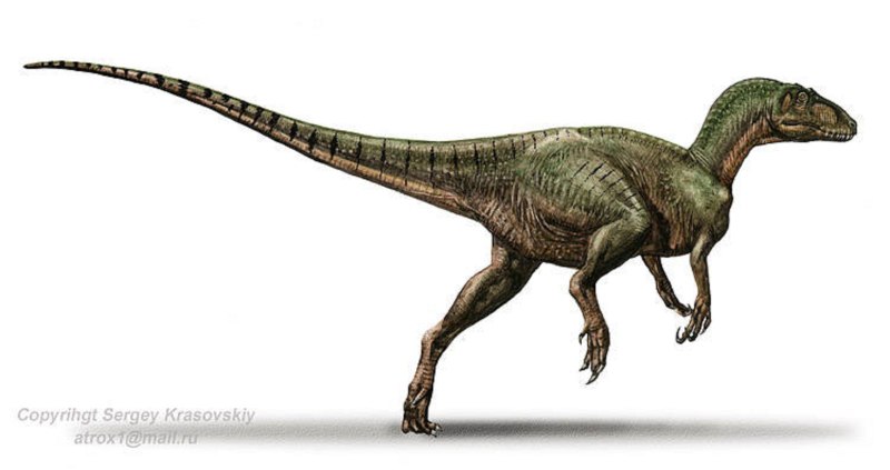 Ozraptor subotaii