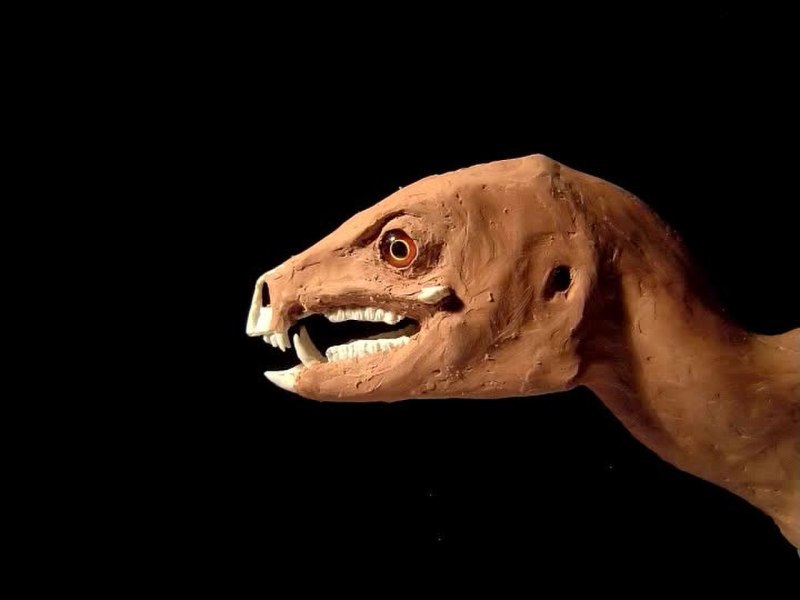 Heterodontosaurus Tucki