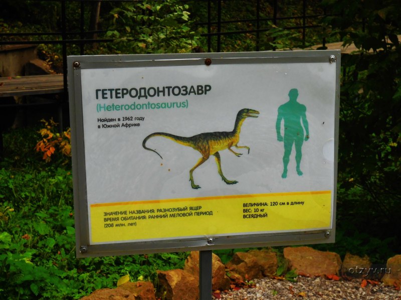 Гетеродонтозавр размер