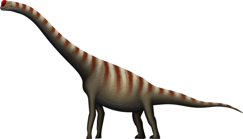 Cedarosaurus weiskopfae