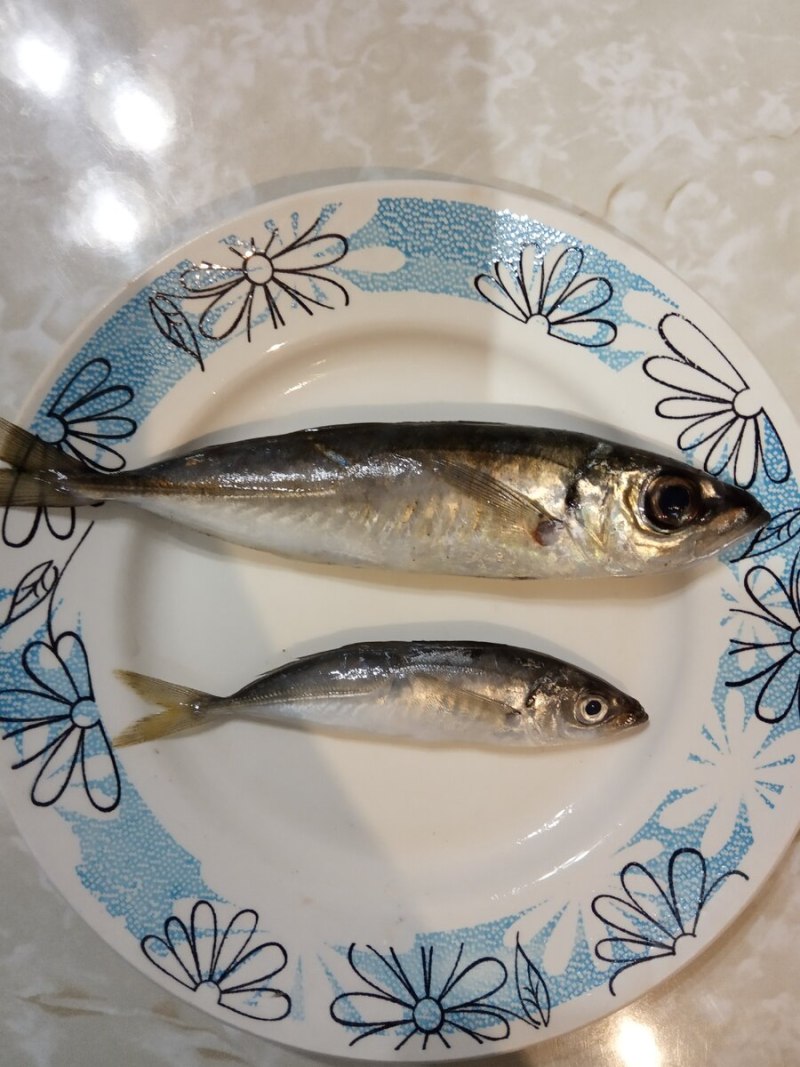 Ставридка кошерна ли