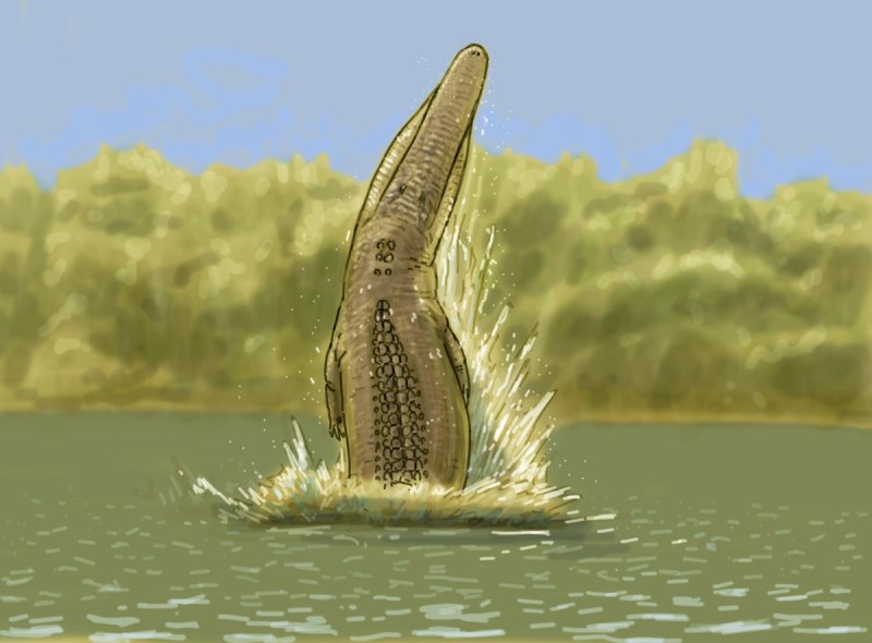 Sachicasaurus vitae